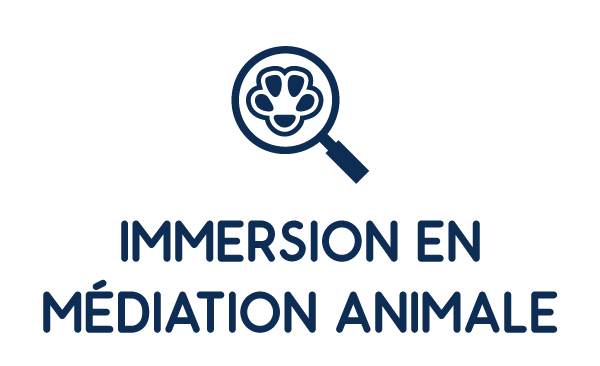Immersion dans le monde animal
