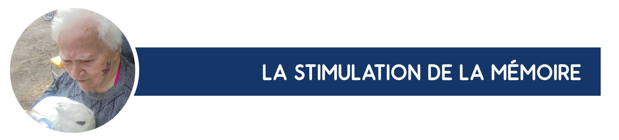 Stimulation Sensorielle par la zootherapie