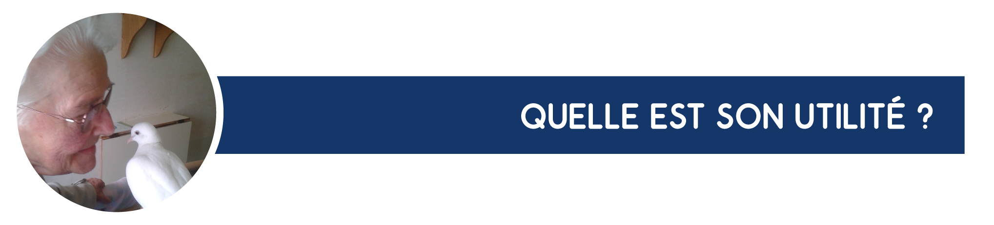 Utilite de la zootherapie